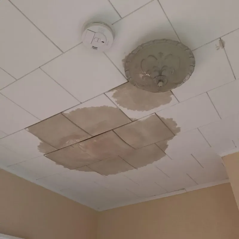 Ceiling Water Damage Repair in Stevens County, MN