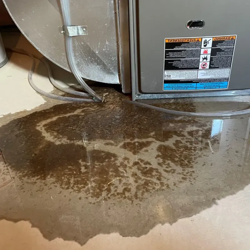 Pipe Burst and Leak Restoration in Stevens County, MN