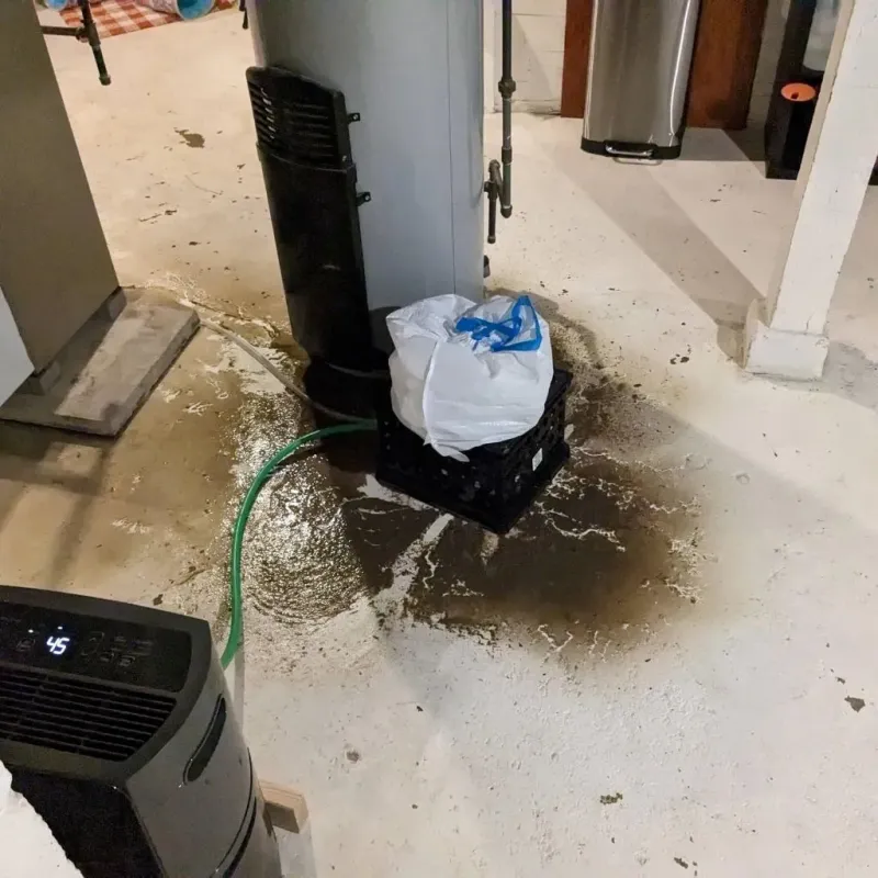 Sewage Backup Cleanup Service in Stevens County, MN